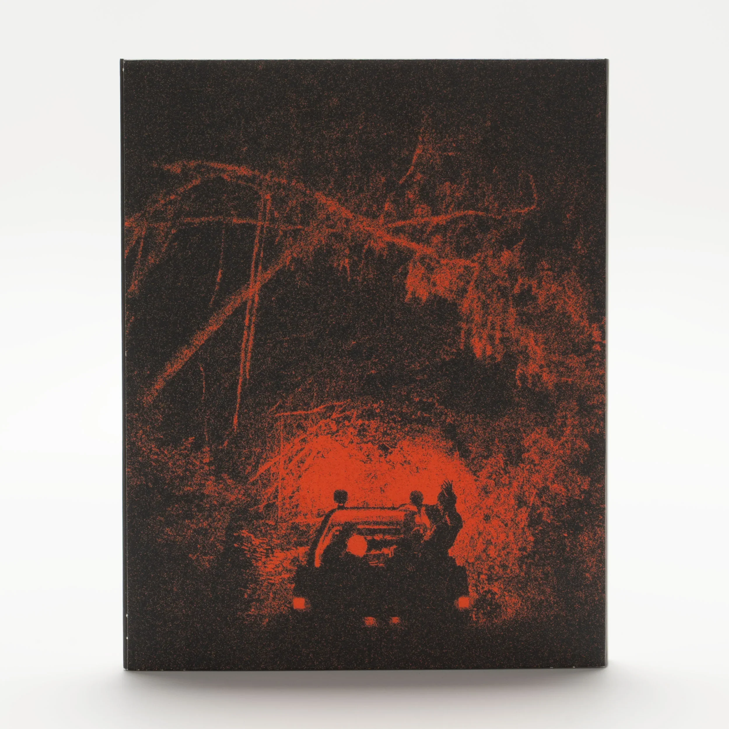 Birdeater Blu-Ray w/ Limited Edition Slipcover (Dark Sky Films) - Image 2