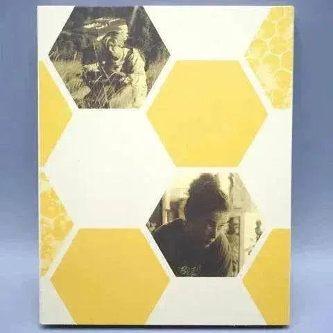 Film Movement - 20,000 Species of Bees Blu-Ray w/ Slipcover - Image 2