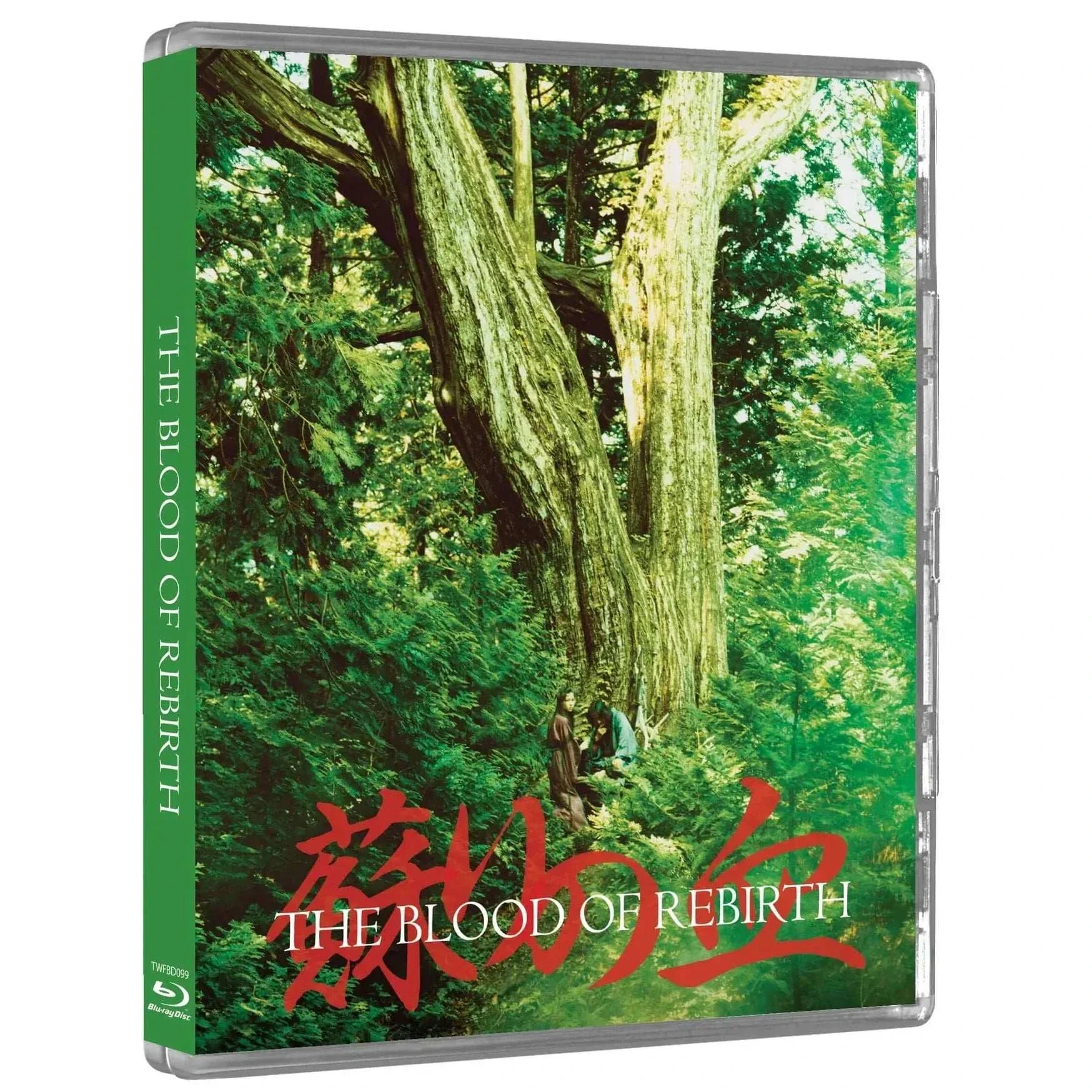 Transcending Dimensions Limited Edition Blu-Ray w/ Slipcover (Third Window Films) [REGION FREE] - Image 4