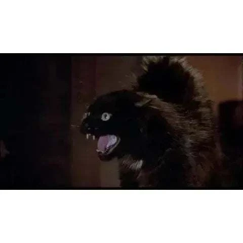 Vinegar Syndrome - Mexican Gothic: The Films of Carlos Enrique Taboada Blu-Ray w/ Slipcase - Image 8